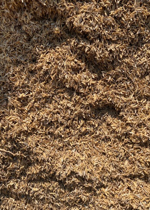 PT ORYZA RESOURCE INDONESIA - photo product 2