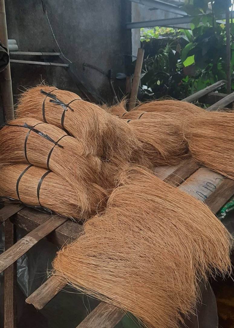 COCO BRISTLE